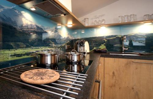 Schuttdorf Apartment | Alm Appartements ZellamSee