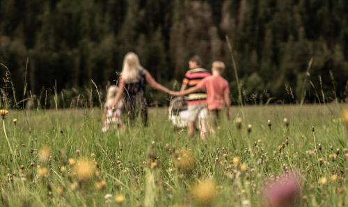 Obertilliach Hotel | Almfamilyhotel Scherer