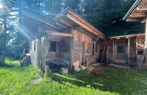 Baldramsdorf Apartment | Almhütte - Skihütte am Goldeck in Kärnten