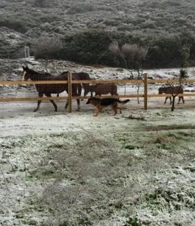 Skiros House | Almond House