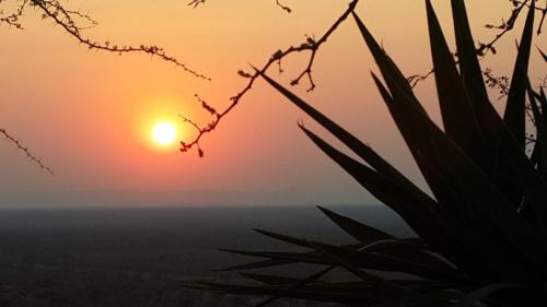 Otjiwarongo Cabin | Aloegrove Safari Lodge