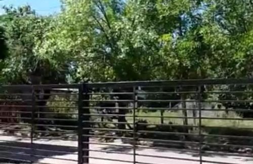 Canuelas Apartment | Alojamiento en Cañuelas Monoambiente