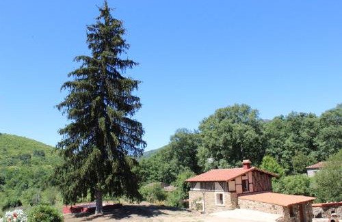 Cepeda House | Alojamiento Turístico La alegría de la huerta