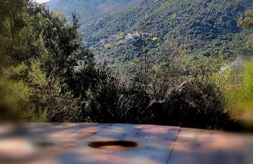 Castirla Cabin | Alone in the world, zen glamping in the heart of the maquis 10km from Corte, calm, nature break