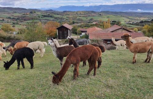 Saint-Antoine-l'Abbaye Bed & Breakfast | ALPAGAS DU DOMAINE MAEL