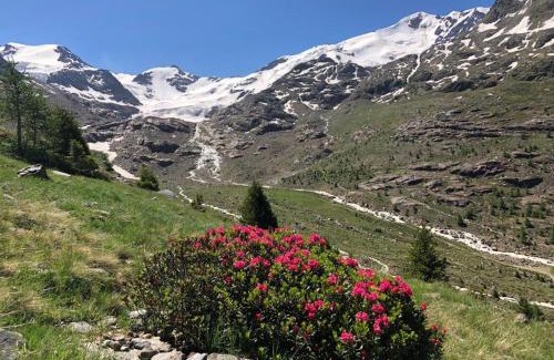 Santa Caterina Valfurva Ski Chalet | Alpine Chalet