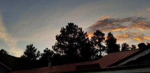 Lake City Hotel | Alpine Moose Lodge