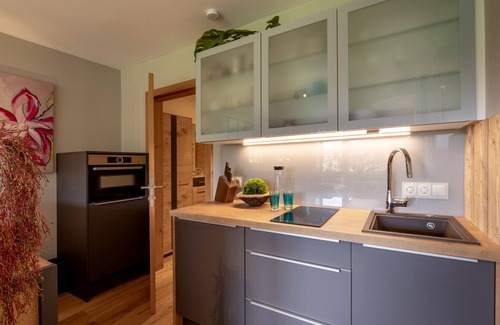Kirchberg in Tirol Apartment | Alpine's Nest studio apartment with mountain views