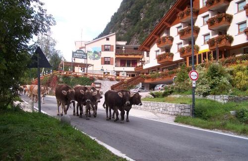 Prestone Hotel | Alps Oriental Wellness HOTEL