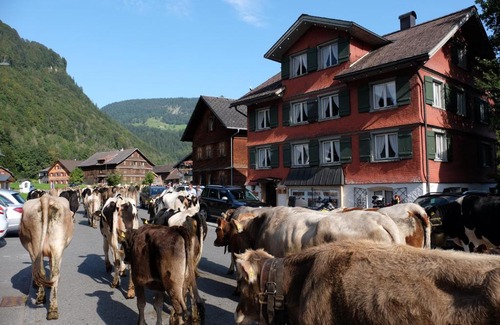 Mellau House | Alps Romantik