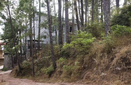 Kasauli Villa | Alpviram Kasauli, 4 Bedroom-Independent Villa