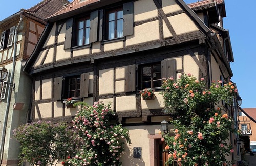 Buhl Apartment | ALSACE COSY GITE 3 BEDROOMS 2 BATHROOMS