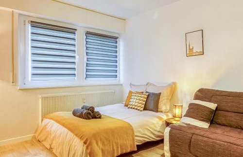 Esplanade Apartment | AlsaceTime, CENTRE Parking gratuit, TRAM WIFI, Fibre Orange, espace de travail