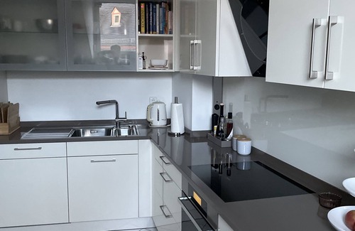 Mainz-Bingen Apartment | Alta Villa - Exclusive vacation apartment with roof terrace in the old town of Eltville