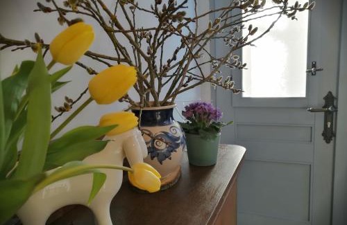 Roßdorf Apartment | alte Apotheke
