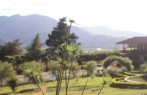 Constanza Villa | Altocerro Villas Hotel & Camping