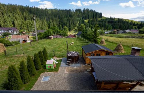 Vatra Moldovitei House | Alvi