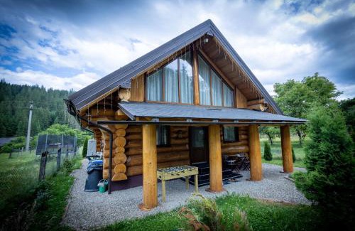 Vatra Moldovitei House | Alvi