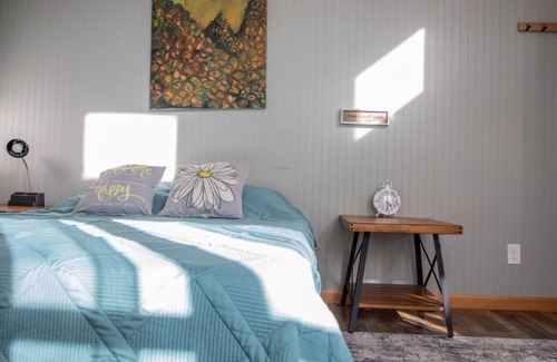 Saluda Cabin | Always a Great Idea To Unwind! Pet-Friendly, Near Green River Game Lands