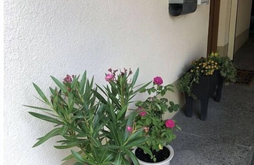 Altdorf House | am Gässle (*On the Alleyway)