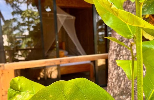 Abra de Ilog Resort | Amami Beachfront Villa with Private Beach