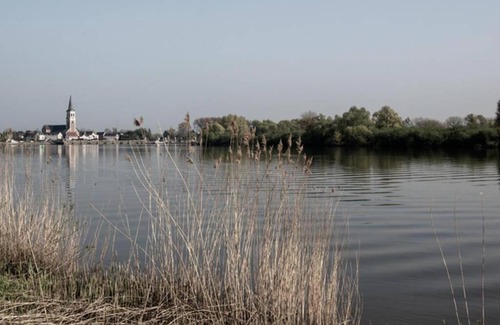 Sint-Amands Apartment | Amand'eau - zwemvijver, zonneterras, grote tuin