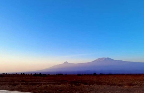 Amboseli Cabin | Amanya Star Bed Amboseli