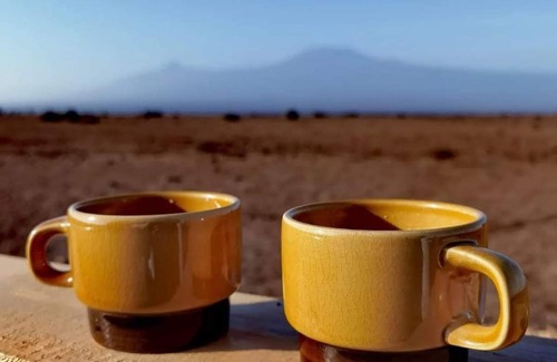 Amboseli Cabin | Amanya Star Bed Amboseli