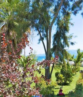 Amarinthos House | Amarynthos Beachfront Vacation House with garden