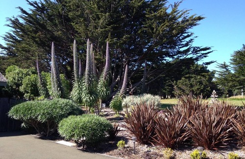 Mendocino House | " AMAZING OCEANFRONT" PRIVATE LUXURY in Mendocino