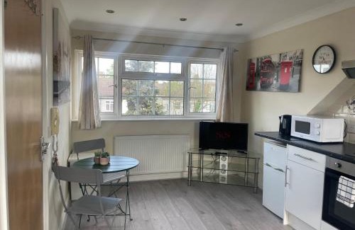 Lea Bridge Apartment | Amazing Studios - East London Walthamstow