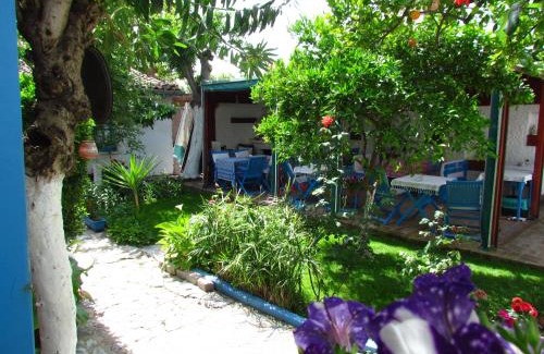 Selcuk House | Amazon Antique