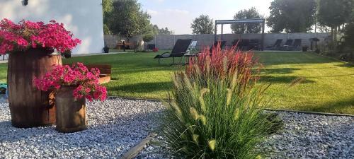 Uniejow Apartment | Ambasada zieleni