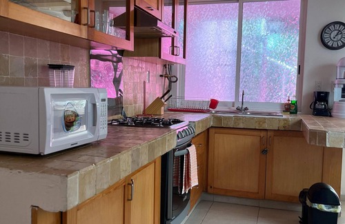 Coyoacan Apartment | Amber Loft
