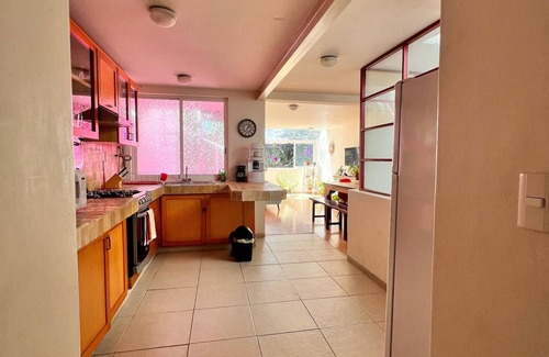 Coyoacan Apartment | Amber Loft