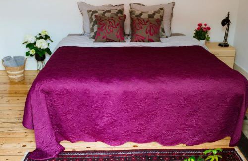 Wijk van de Squares Bed & Breakfast | Ambiorix Residence