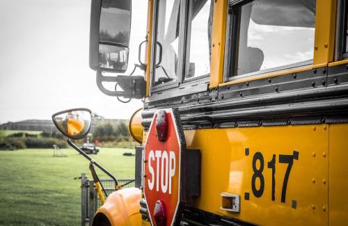 Cheddar Other | American School Bus Glamping - Somerset