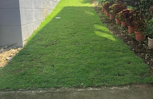 Compostela House | Amoa 148