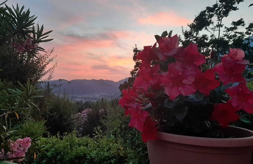 Camaiore House | Amongst Mediterranean perfumes and colors W/pool, garden, private parking