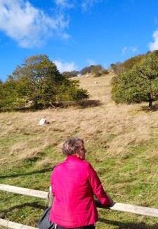 Cingoli Bed & Breakfast | Amor di Lavanda