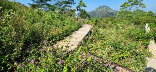 Aladeniya Resort | Amore Resorts