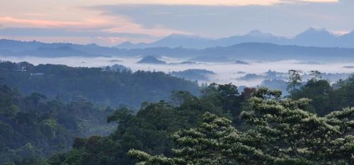Aladeniya Resort | Amore Resorts