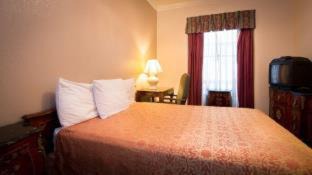Lower Nob Hill Hostel | Amsterdam Hostel