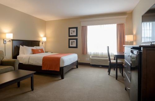 Sussex Hotel | Amsterdam Inn & Suites Sussex