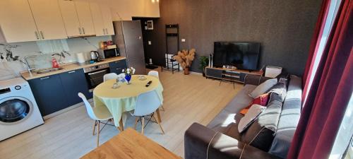 Iasi Apartment | AmurResidence 64 Sauna Parking Barbeque