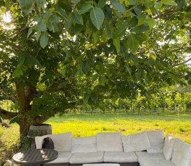 Sainte-Terre House | An authentic place of heaven near St Emilion