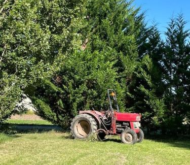 Sainte-Terre House | An authentic place of heaven near St Emilion