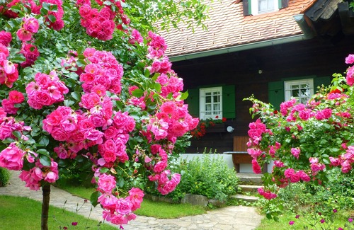 Harrachberg House | an earthly paradise on a south-east Styrian hill