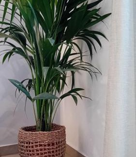 Adamas Apartment | Anais Milos Suites