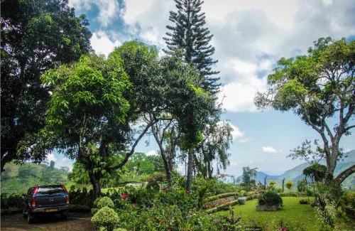 Ankumbura Pallegama House | Ancoombra Tea Estate Bungalow